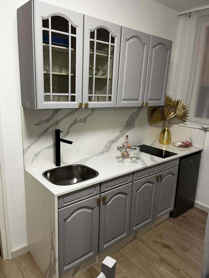 דירות קארלובץ Apartman Gold Maris מראה חיצוני תמונה